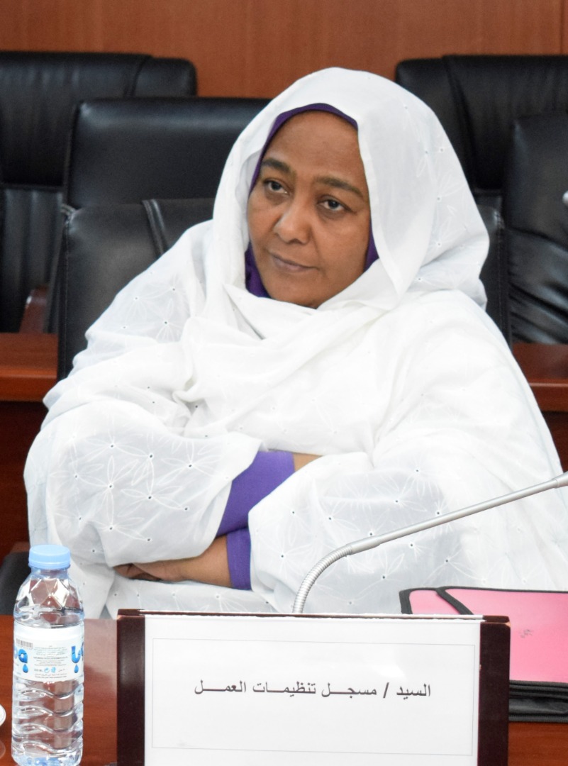 مسجل عام تنظيمات العمل يكون لجنة لإستلام دور وممتلكات بعض الإتحادات